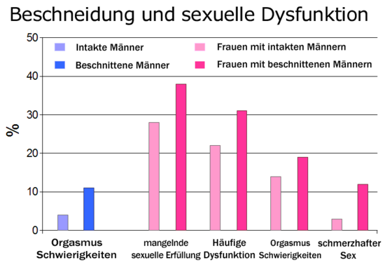 frauen umfragen vorlieben beschnittenen penis sex