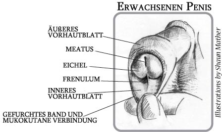 Am glied bändchen Keep Obamacare