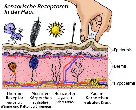 Bei berührung schmerzt eichel Schmerzen bei