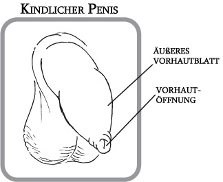 Vorhaut zurück die weit muss wie Wie weit